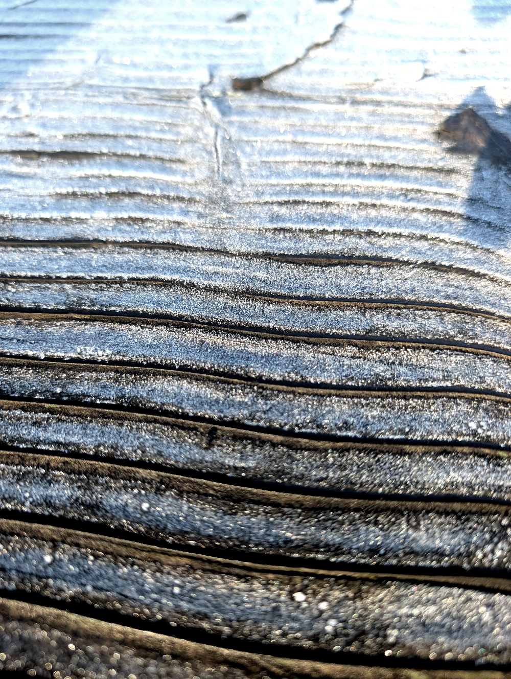 Frost on a log bench, slowly melting towards the bottom of the frame.