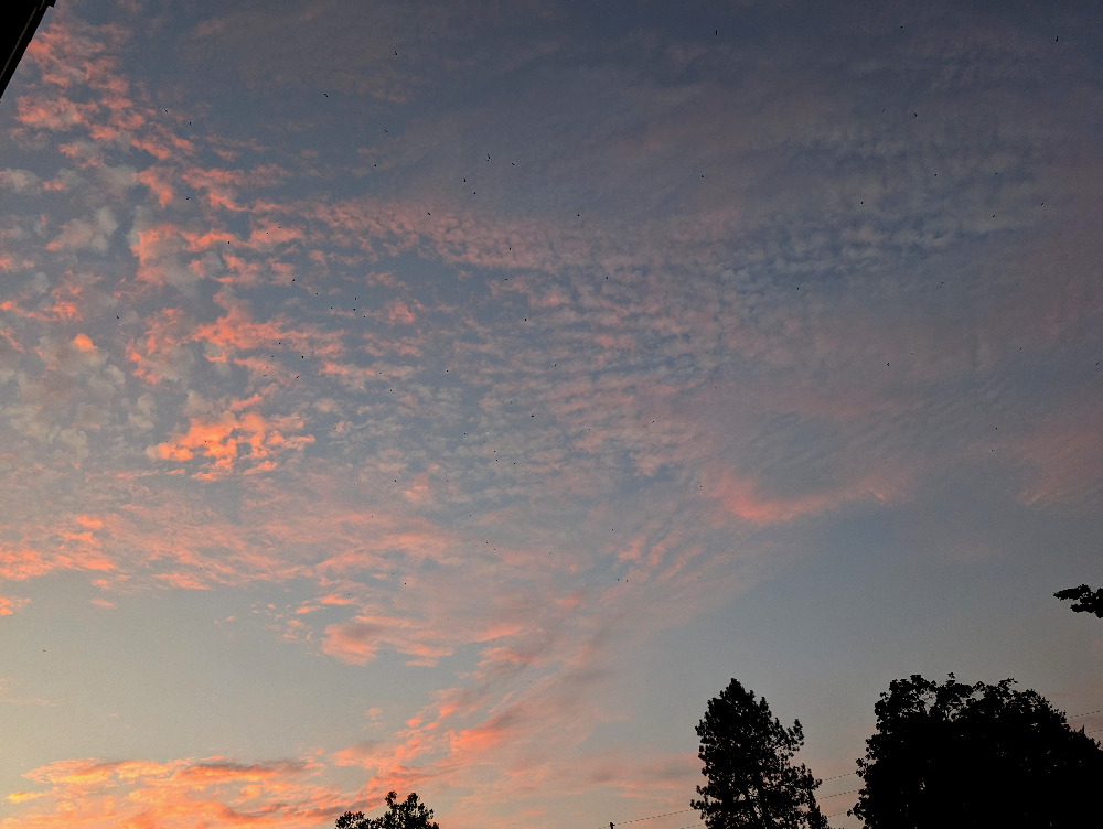 Soft clouds with lovely rose gold highlights, as the sun is setting for the day.