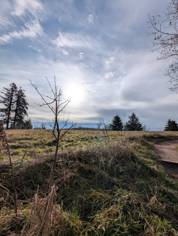 I just love this shot ❤️