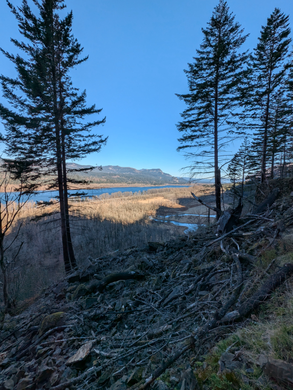 There is always hope.