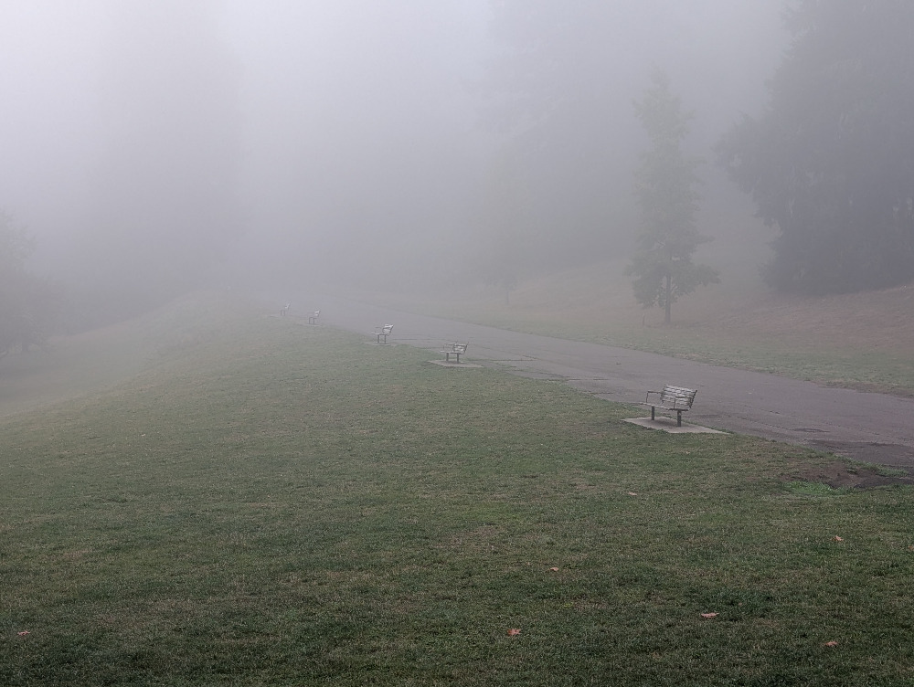 Benches in the fog overlooking Mt. Tabor.
