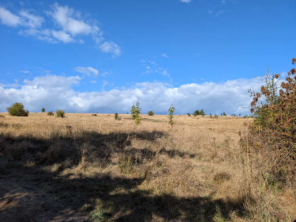 Clouds over a dry field.